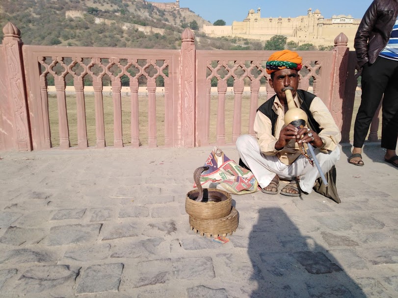 Snake Charmer, Jaipur